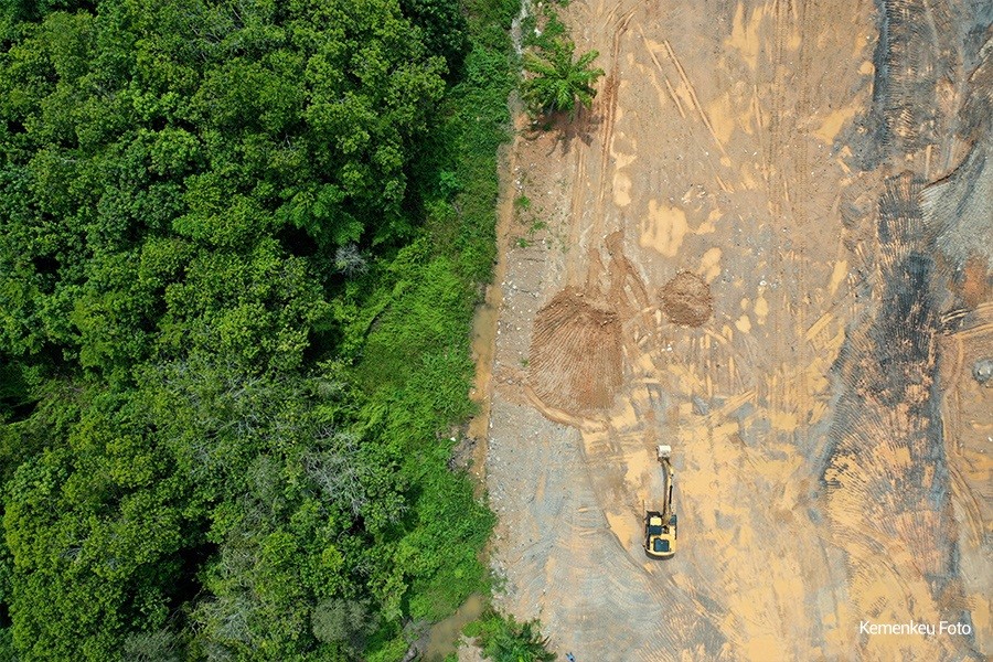 hutan2.jpg