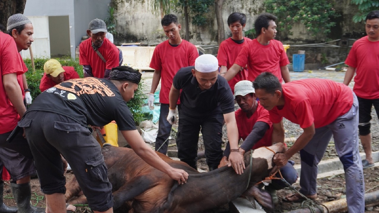 Bakrie Group melalui Bakrie Amanah Salurkan 157 Hewan Kurban di Hari Raya Idul Adha 1445 H