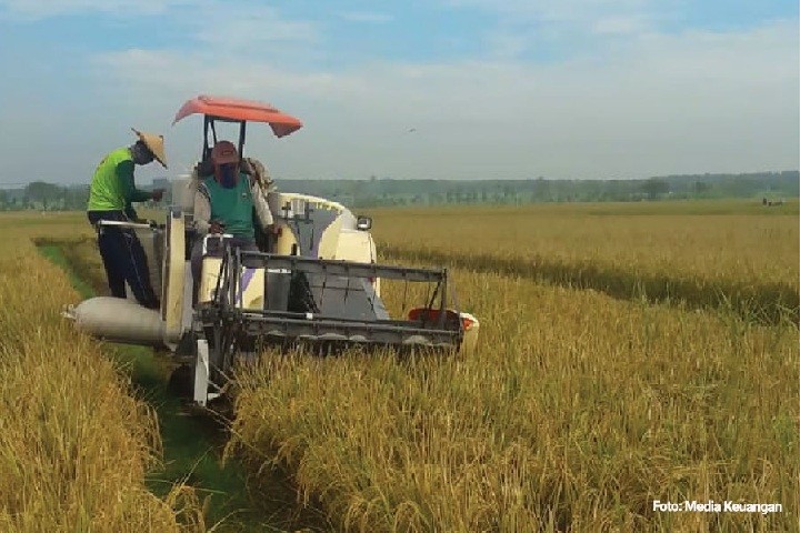 Ini Daftar Kebijakan Pemerintah yang Memihak Petani dan Peternak